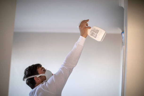 Best Local Mold Removal Service  in Garden City, MO