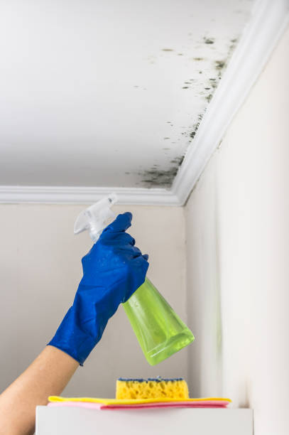 Best Crawl Space Mold Removal  in Garden City, MO